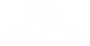 IQ Alarm
